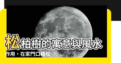 門口種松柏|【門前的風水樹】門前種什麼樹風水好種對了樹好運連連 